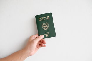 韩国所有面膜品牌大全，带你走进面膜的世界