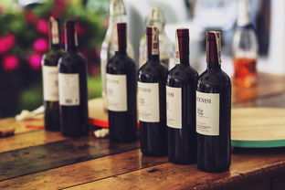 俄罗斯红白酒品牌，深度解析与实例探究