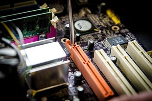 中国最知名的坚果品牌深度解析