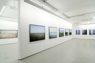 佛山瓷砖品牌店精选指南
