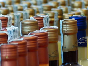 江苏酱酒白酒品牌，深度解读与案例分享